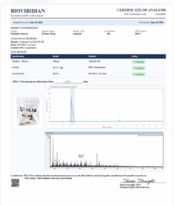 Certificate of analysis for Dihexa 10mg 60
